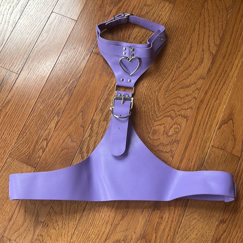 Dolls Kill Purple Harness